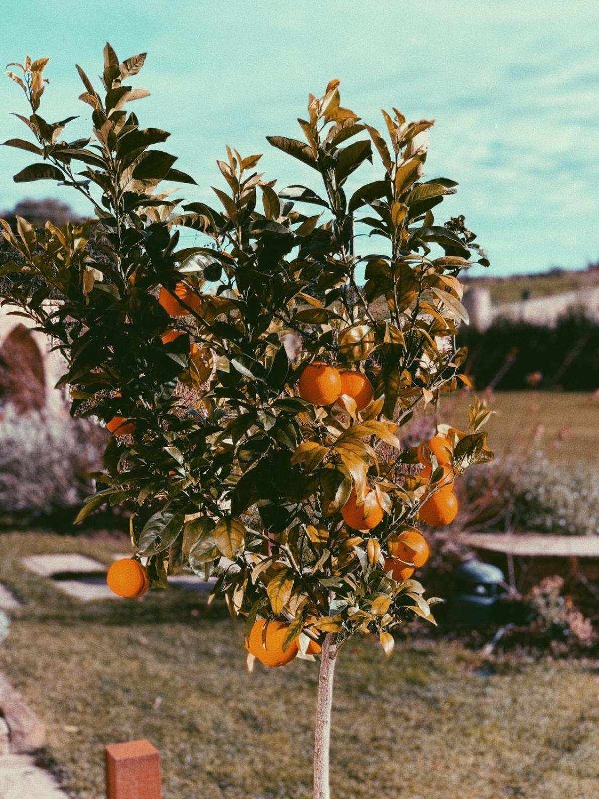 Farm stay La Fuentona De Santillana *