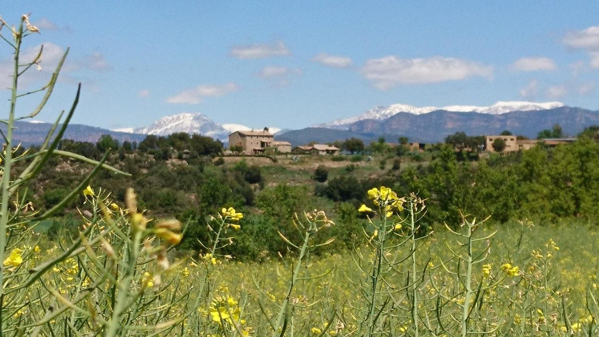 Holiday home Sant Grau Turismo Saludable Y Responsable