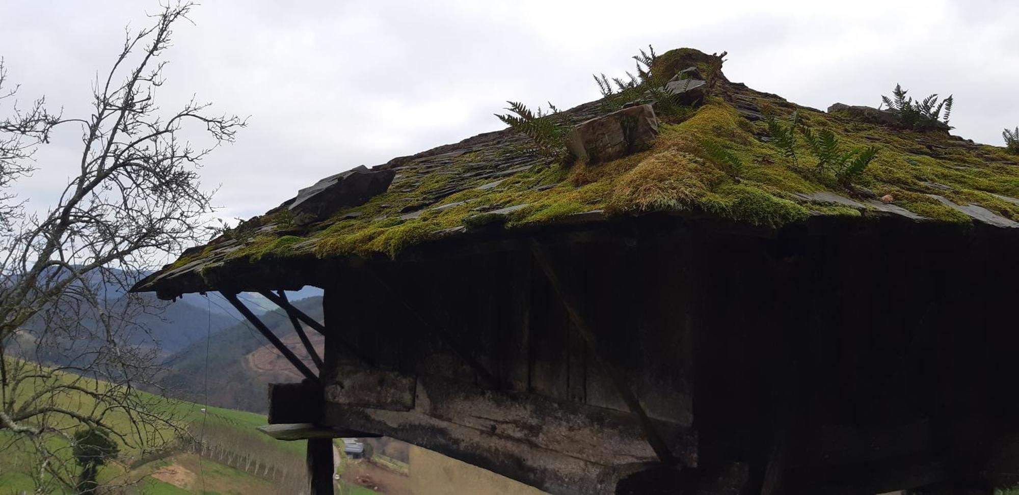 Сasa de vacaciones La Casina De Luarca