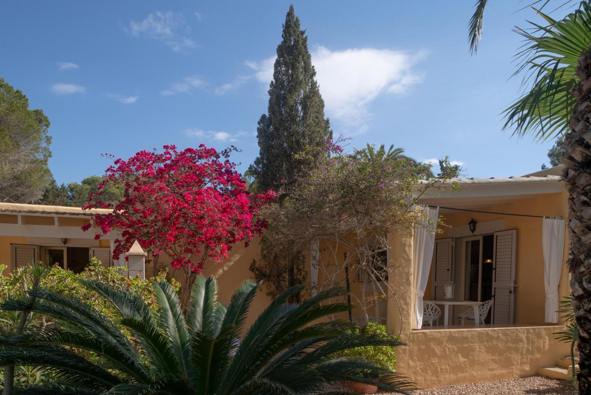 Apartamento Casa Amarilla *