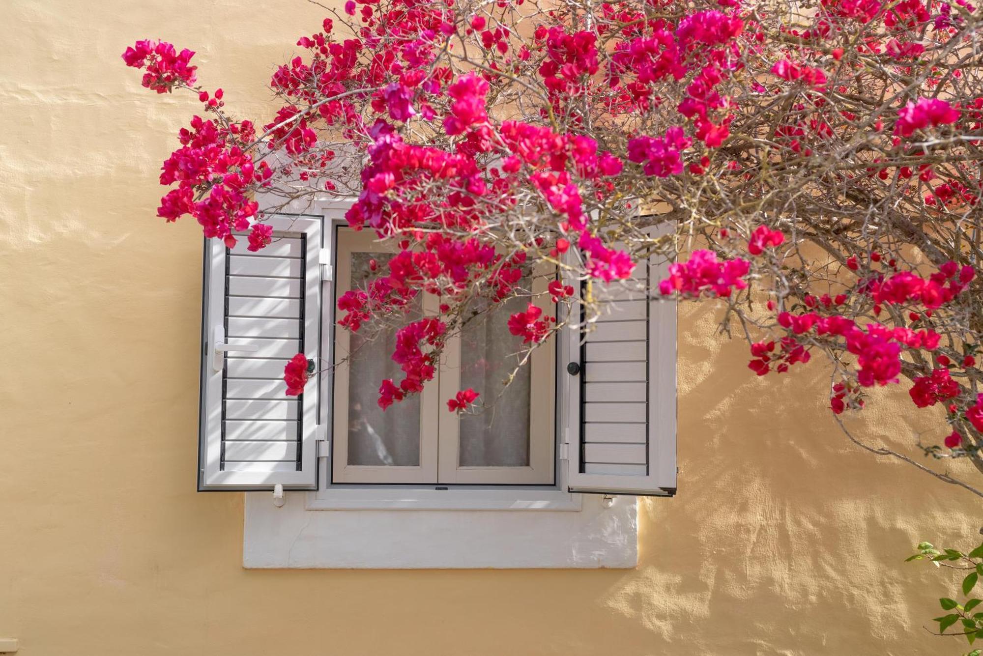 Apartamento Casa Amarilla *