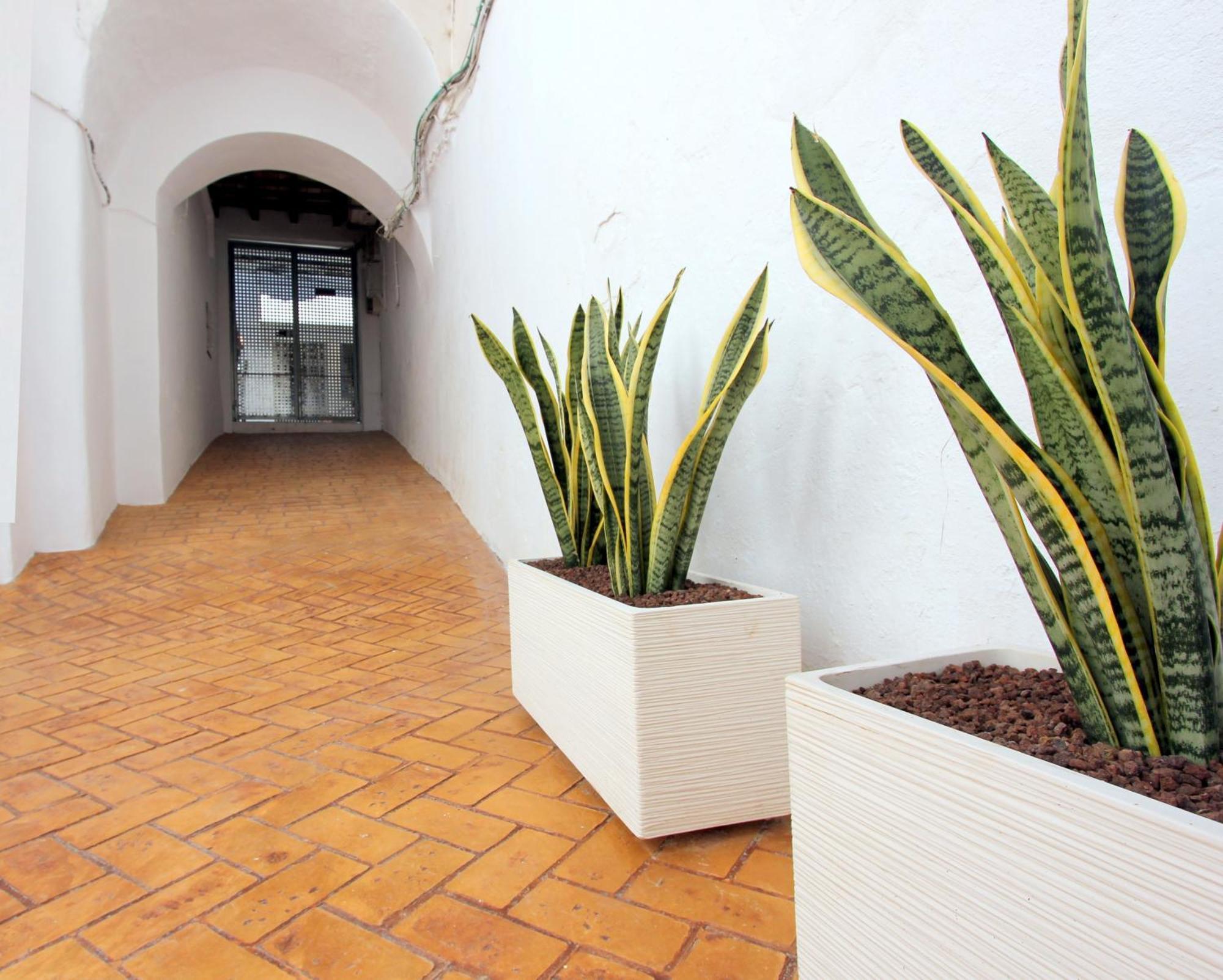 Apartamento Conil10