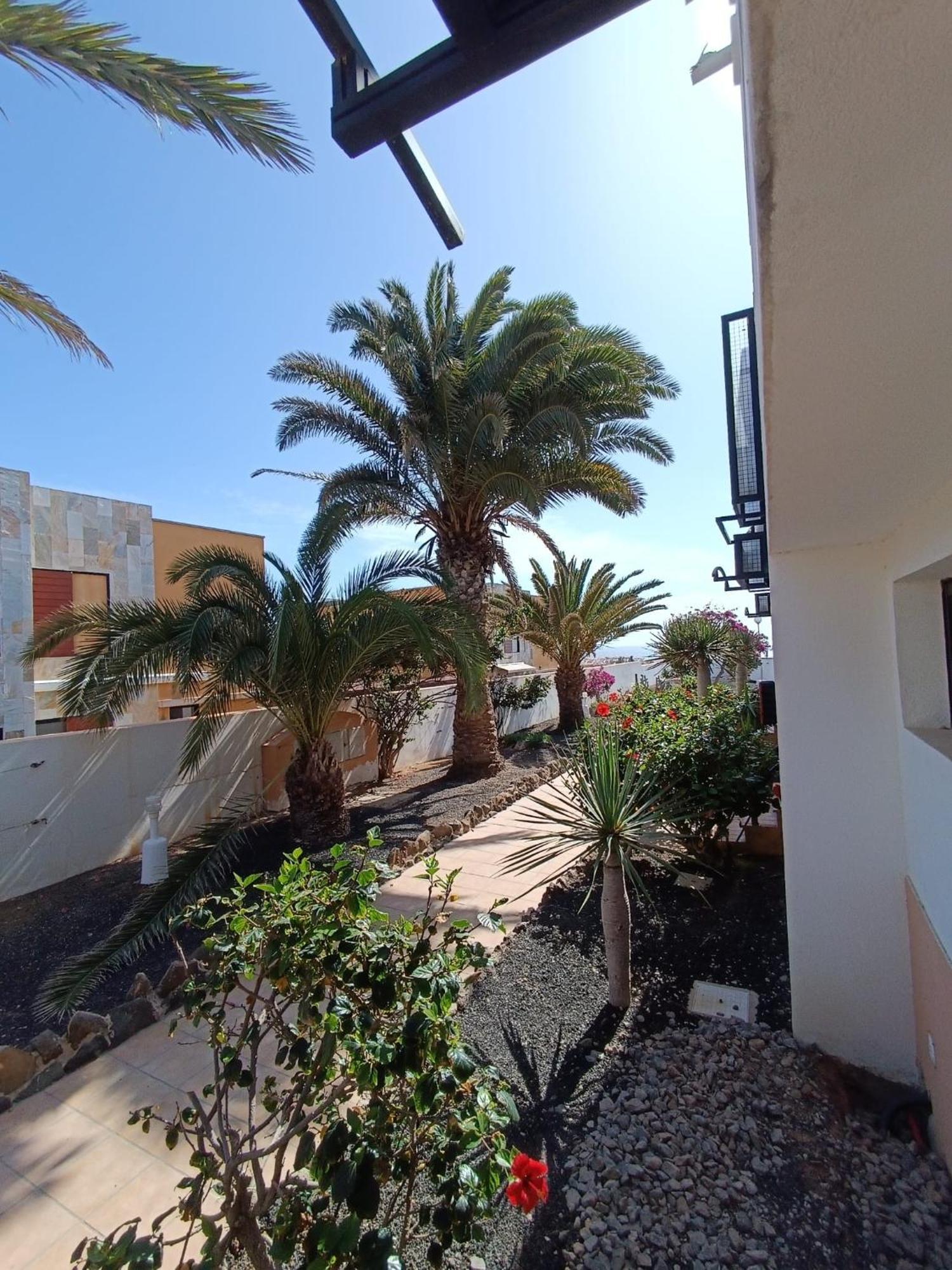 Apartamento Reload Complex Amaya Fuerteventura Costa De Antigua