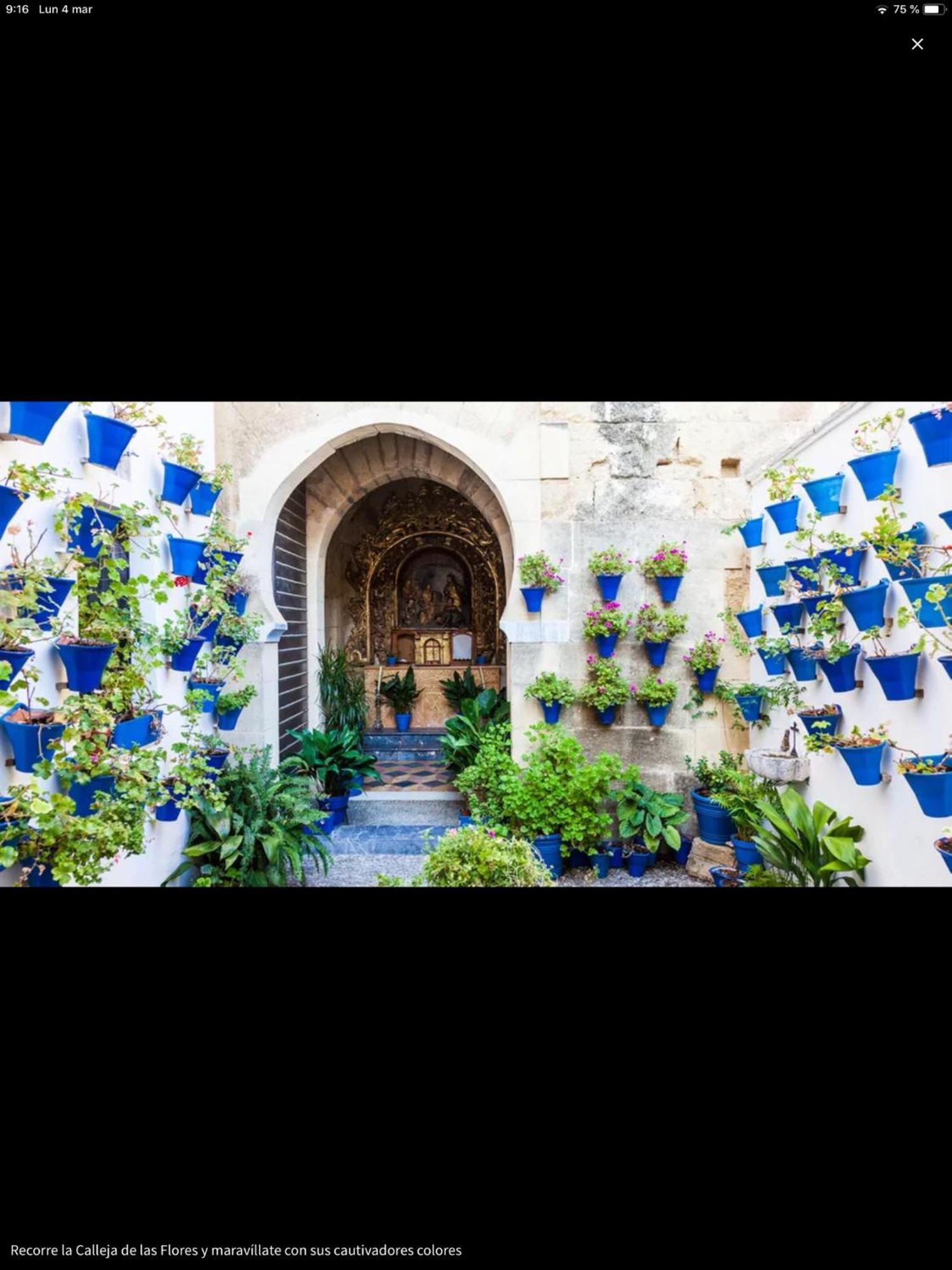 Centro Historico Mezquita Juderia La Preferida