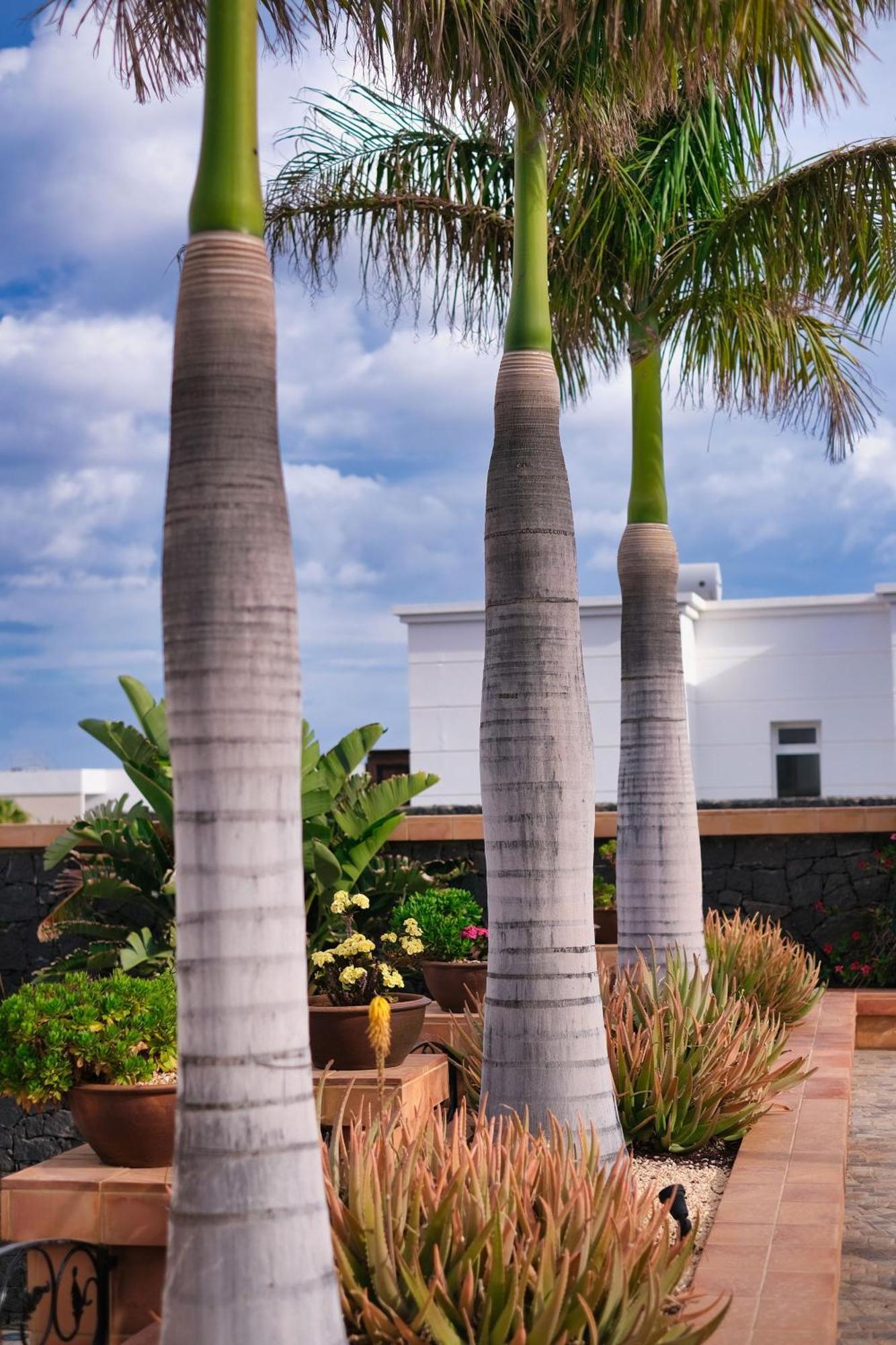 Casa rural Casa Mia Puerto Calero
