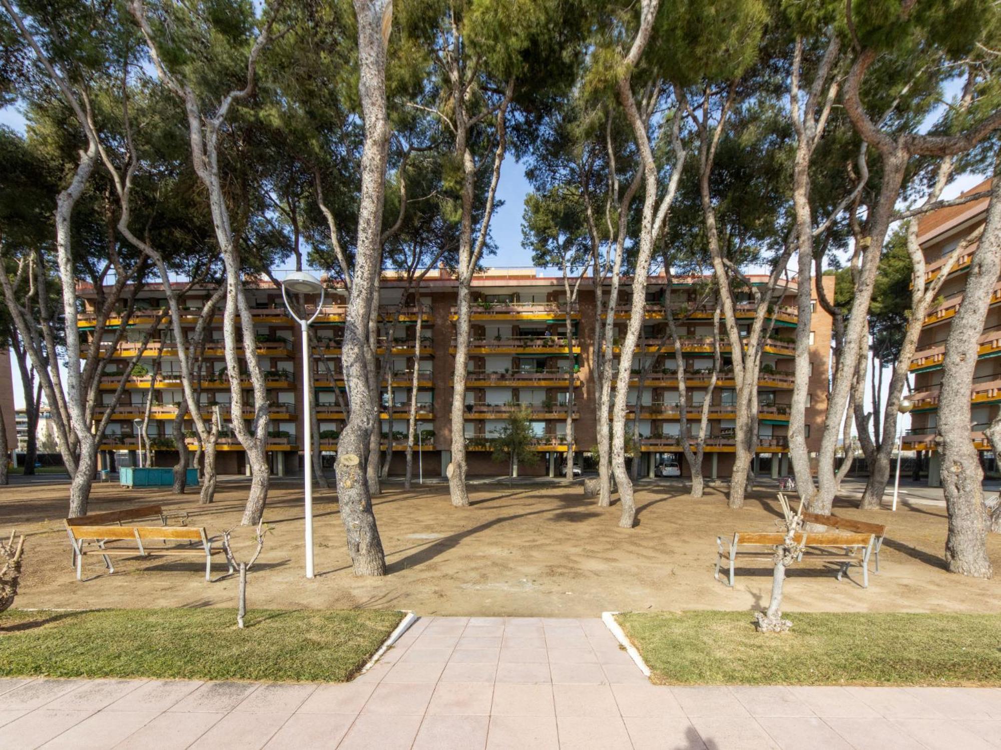 Apartamento Els Pins Maria *