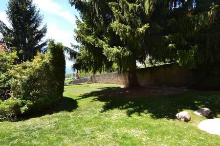 Apartamento Apartament Cal Puigbó