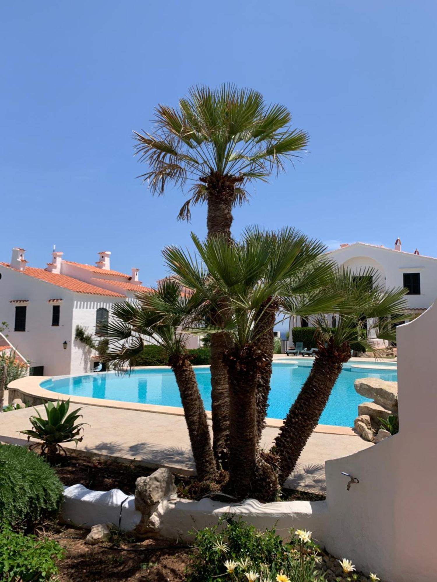 Apartment Oportunidad En La Playa Son Parc