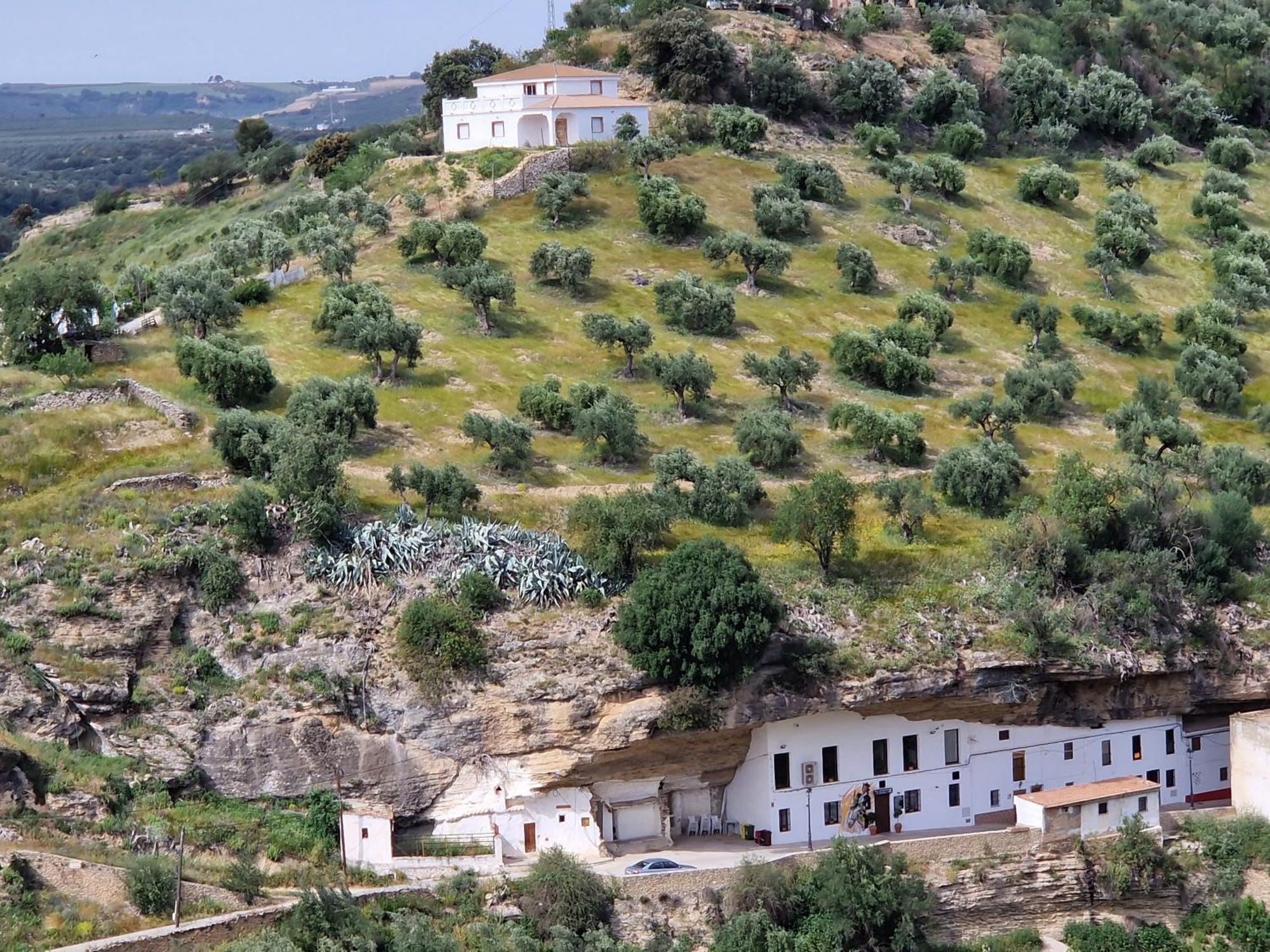 Сasa de vacaciones El Aroma Del Dulce Setenil De Las Bodegas