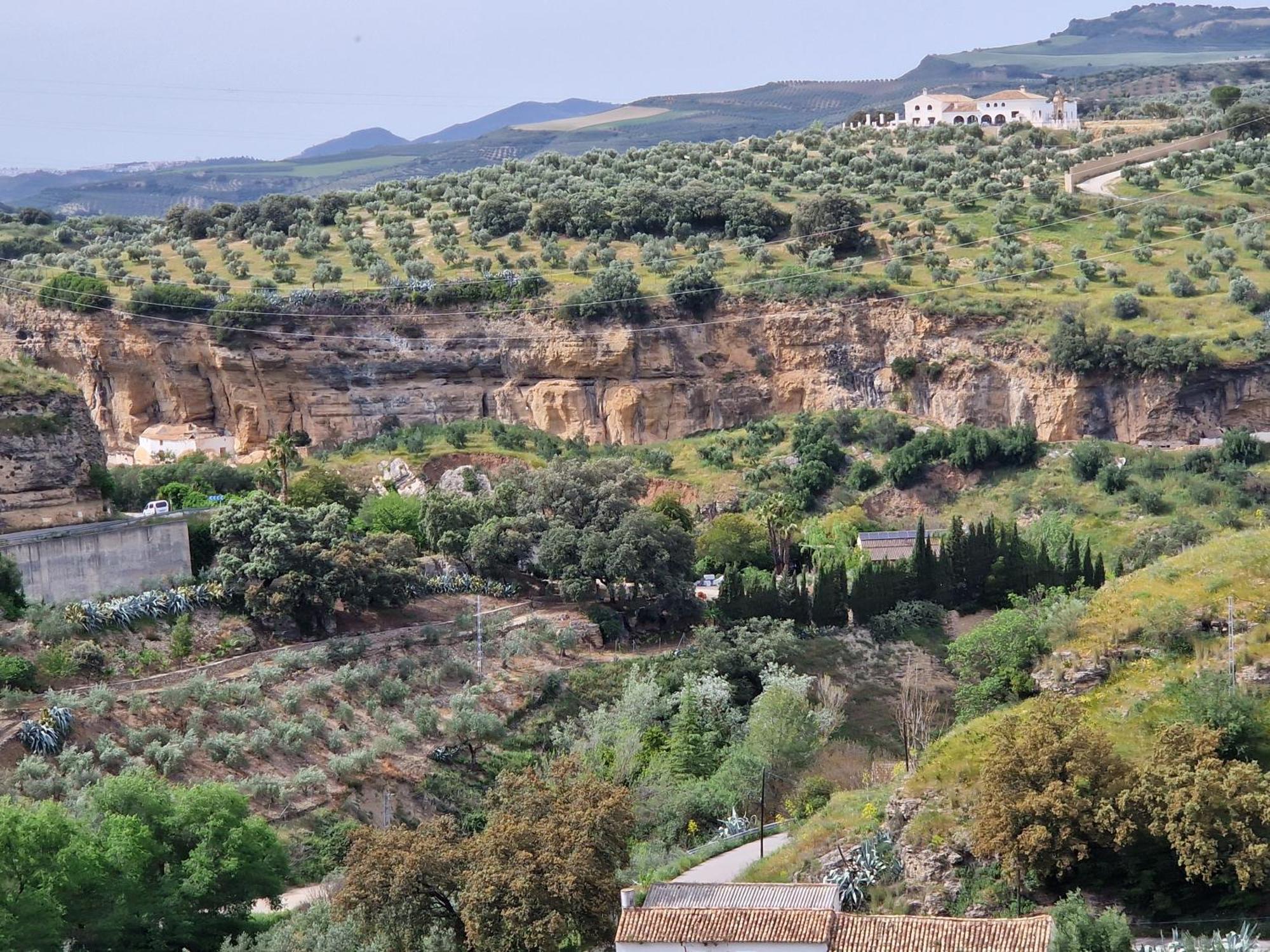 El Aroma Del Dulce Setenil De Las Bodegas