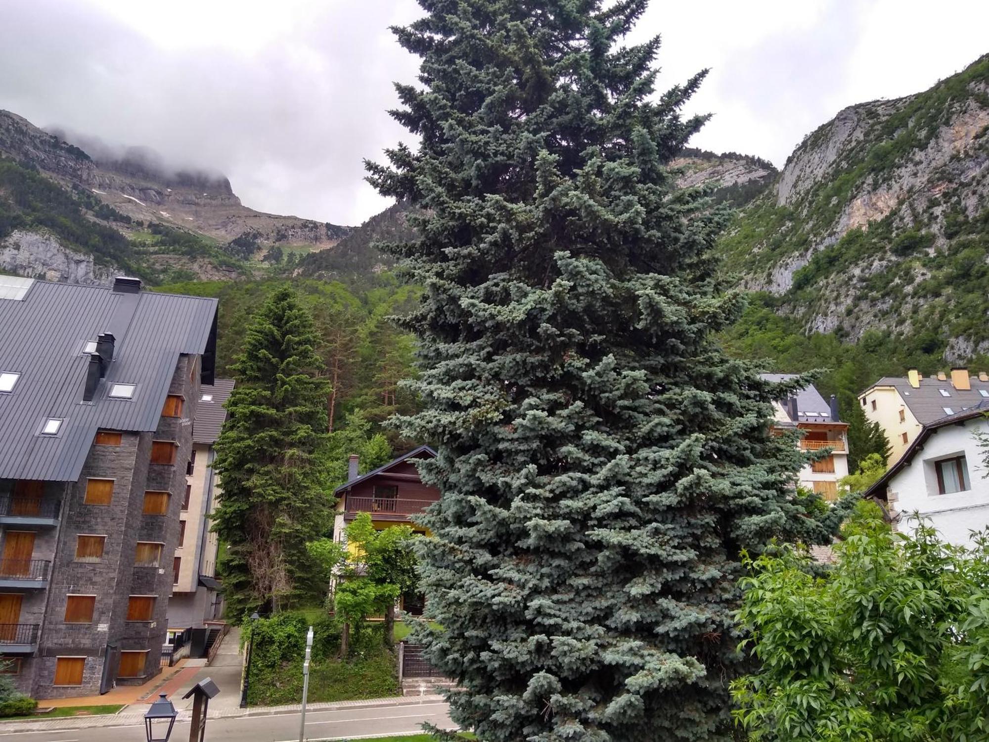 La Moleta Avairent Estacion Canfranc
