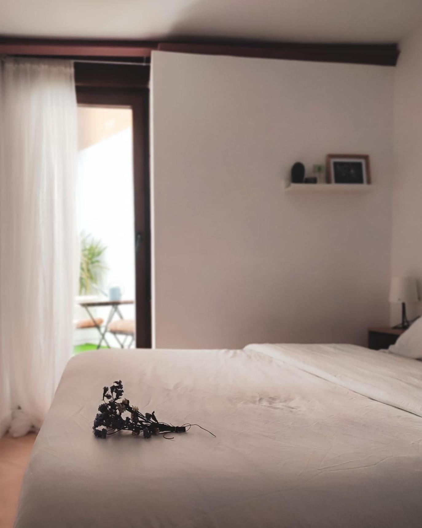 Apartment Abadia.