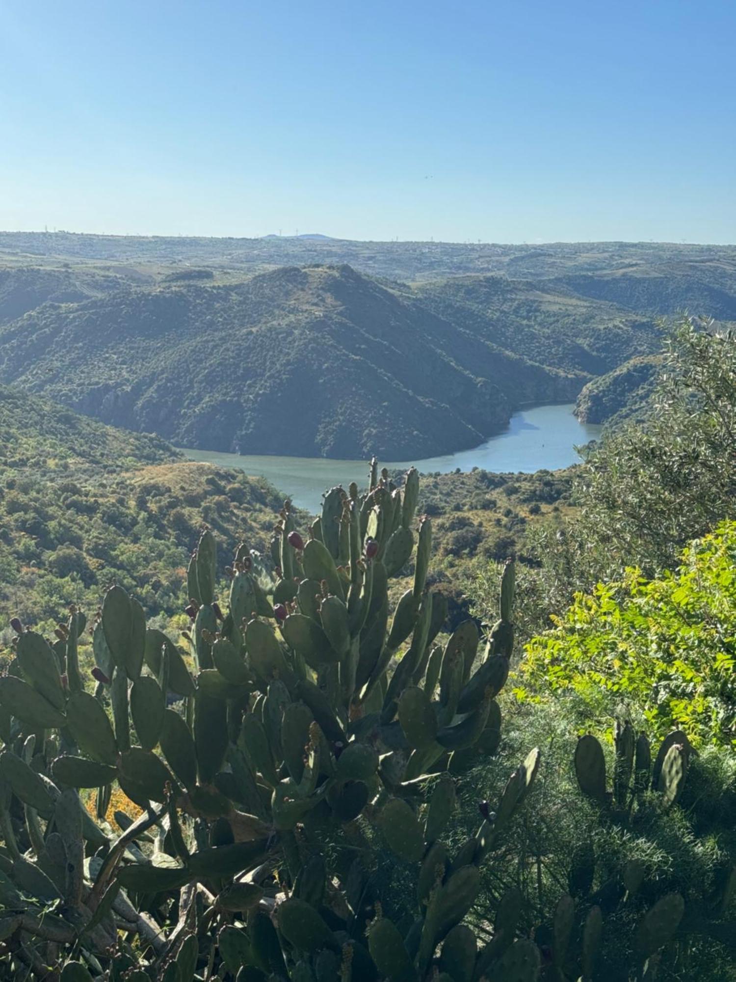 La Casita De Arribes Fermoselle