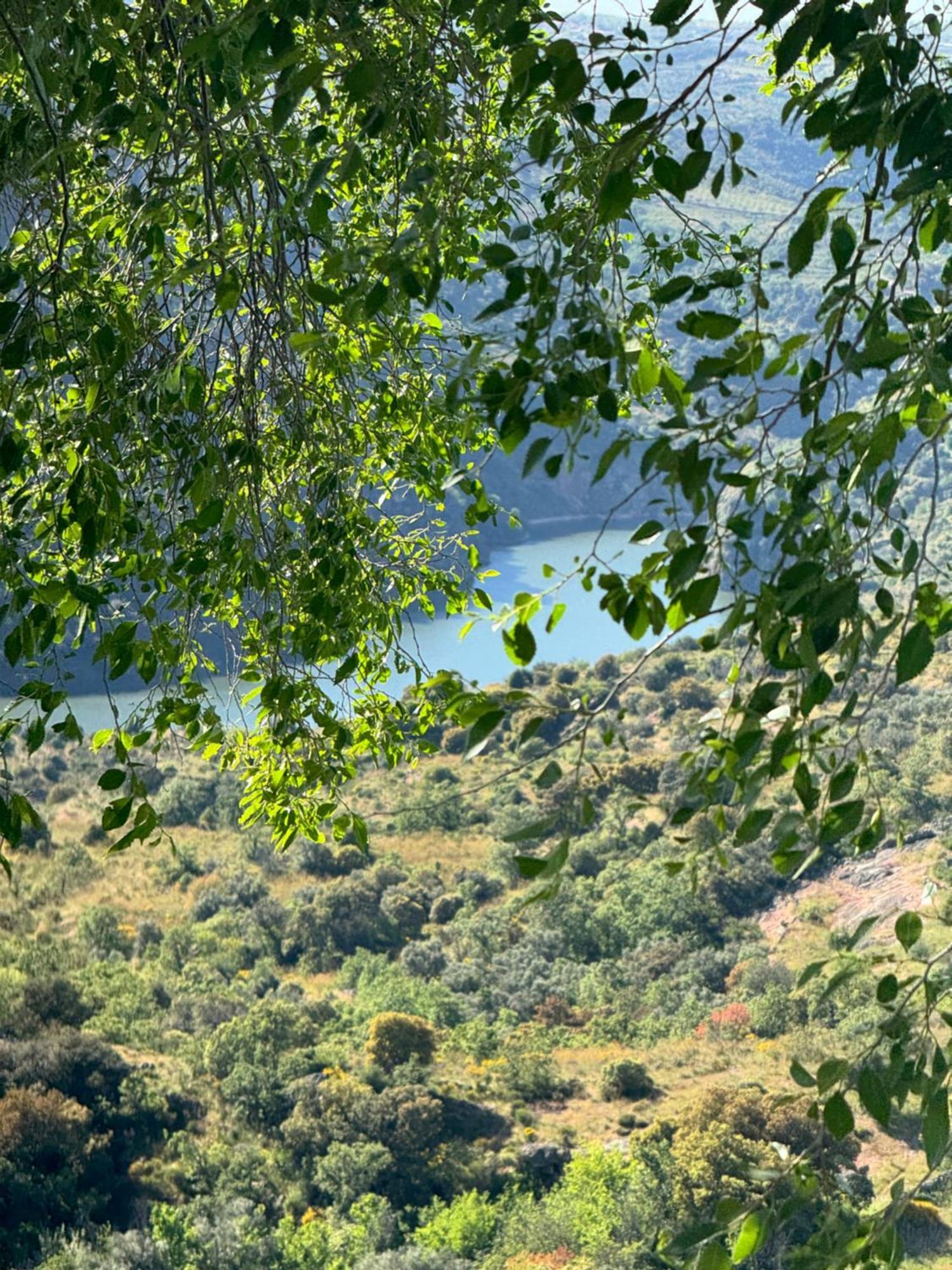 Holiday home La Casita De Arribes *