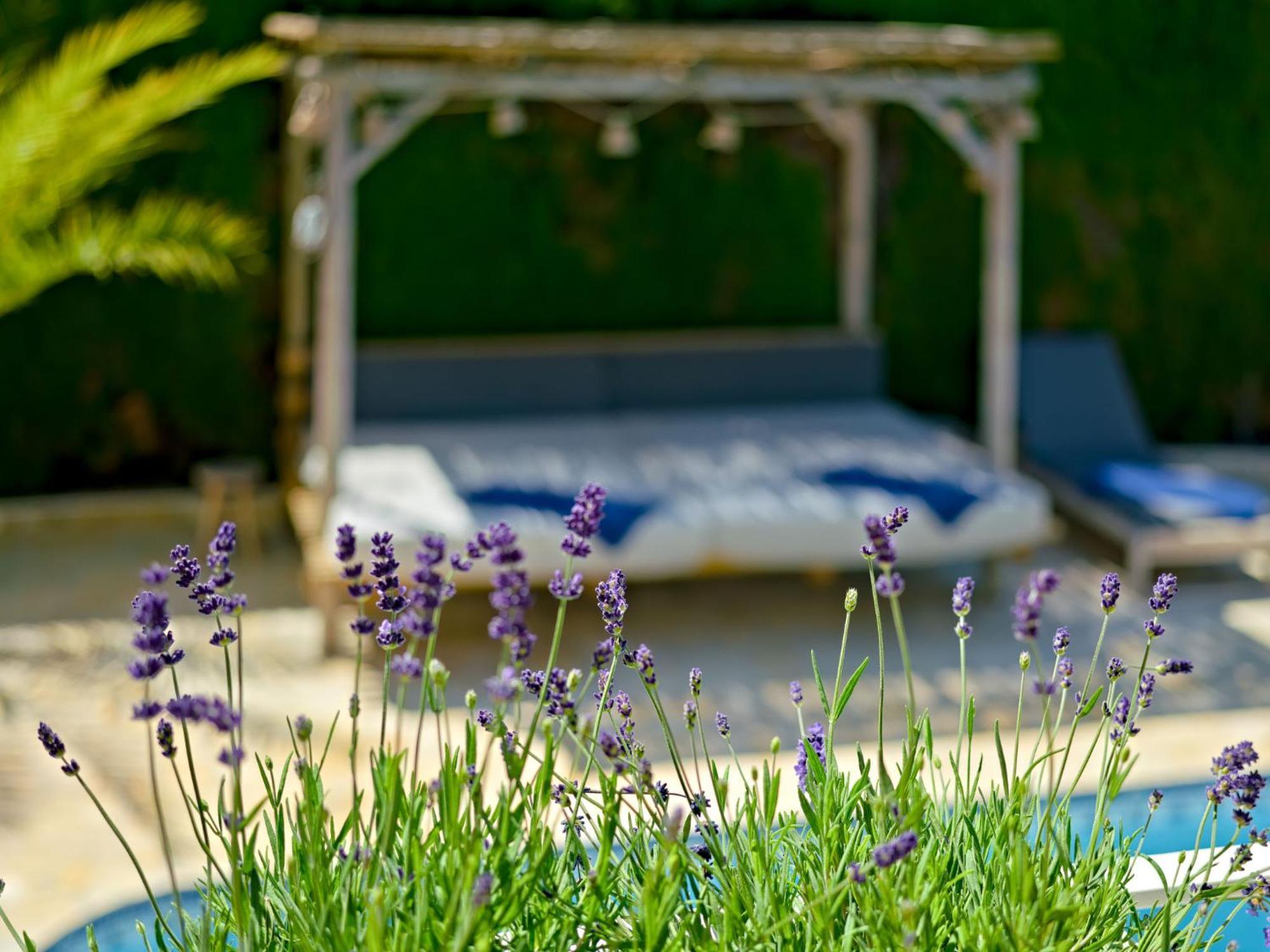 Villa La Colina By Interhome Dénia