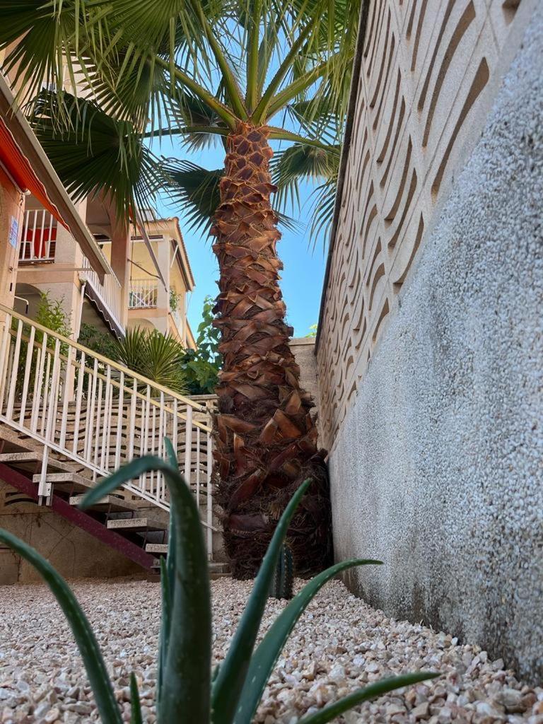 Apartment Palm Beach *
