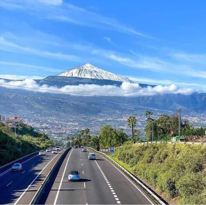 Apartamento Centrico Y Encantador Estudio En