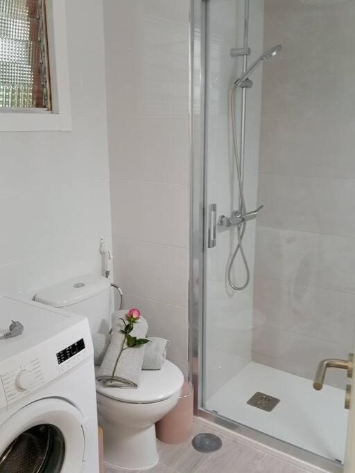Apartamento Centrico Y Encantador Estudio En Puerto de la Cruz (Tenerife)