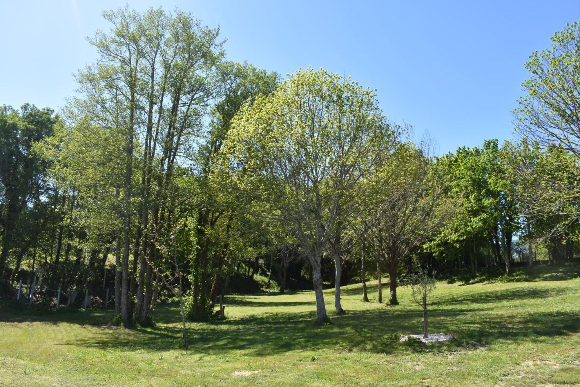 Сasa de vacaciones Do Carpinteiro / Santiago De Compostela - Rias Baixas
