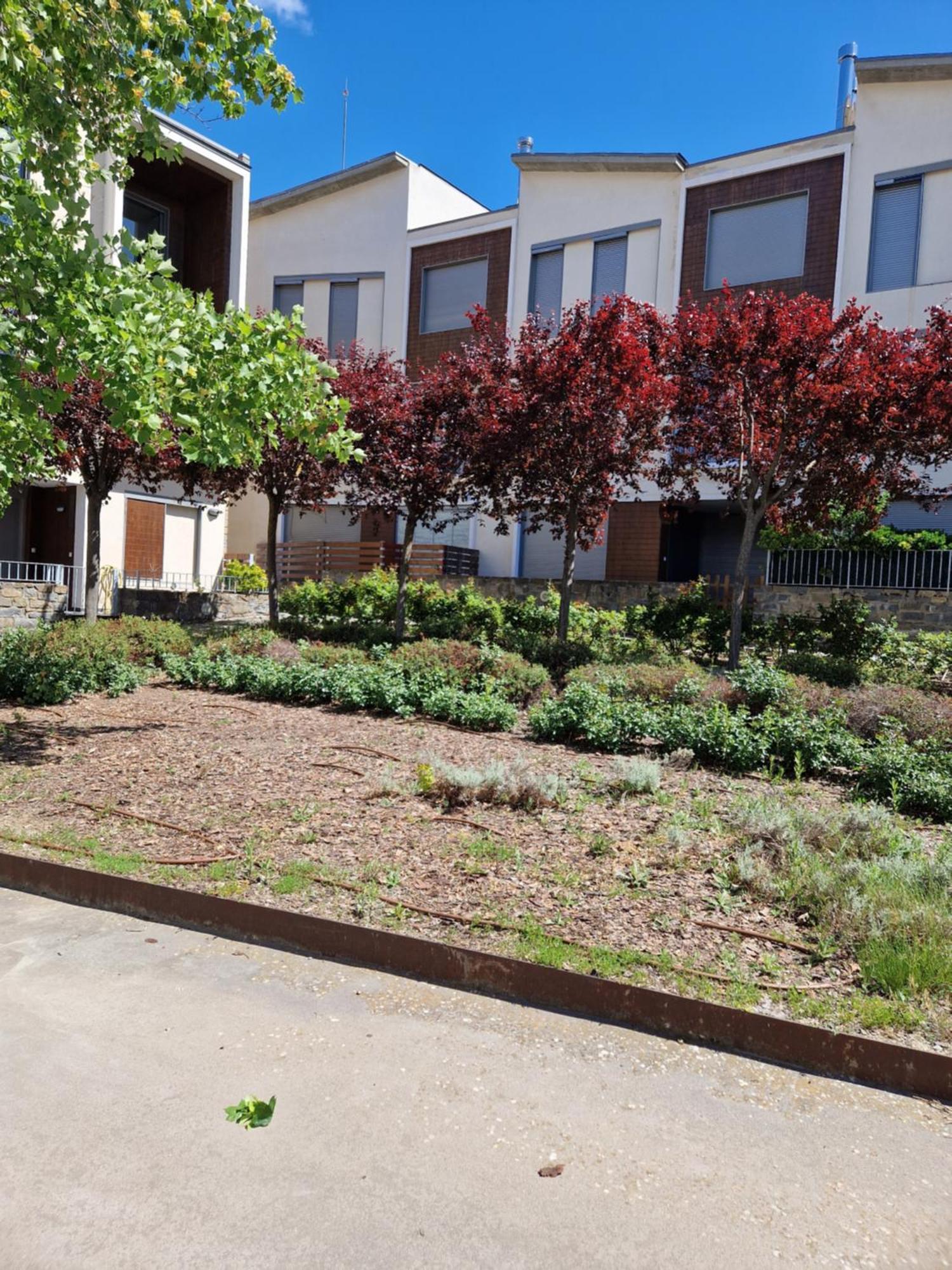 Apartamento Duplex Gaby