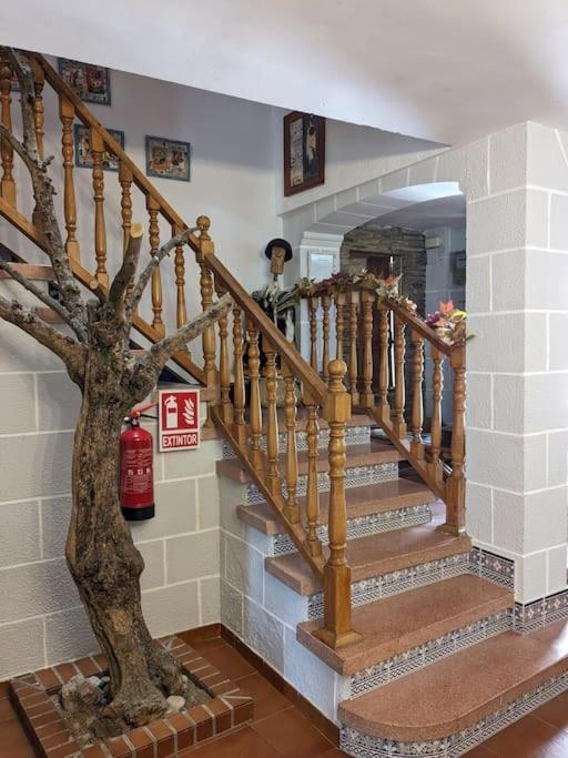 Apartamento Maire Gata