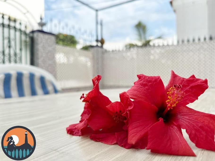 Apartamento Cala Mariquilla La Caneja By Bossh! *