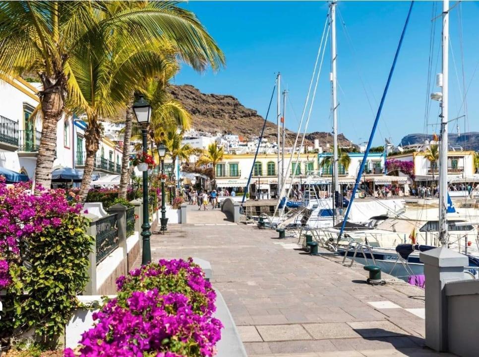 Gran Canaria Palmas