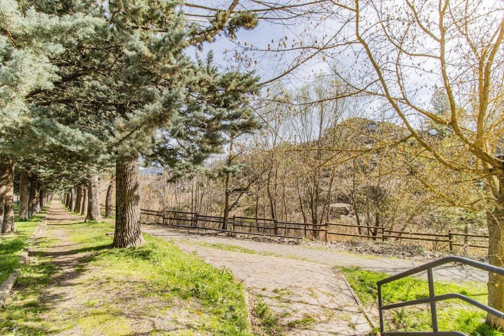 Apartment Beautiful Flat In The Pyrenees * Free Parking