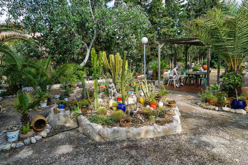Mi Campo Country house *