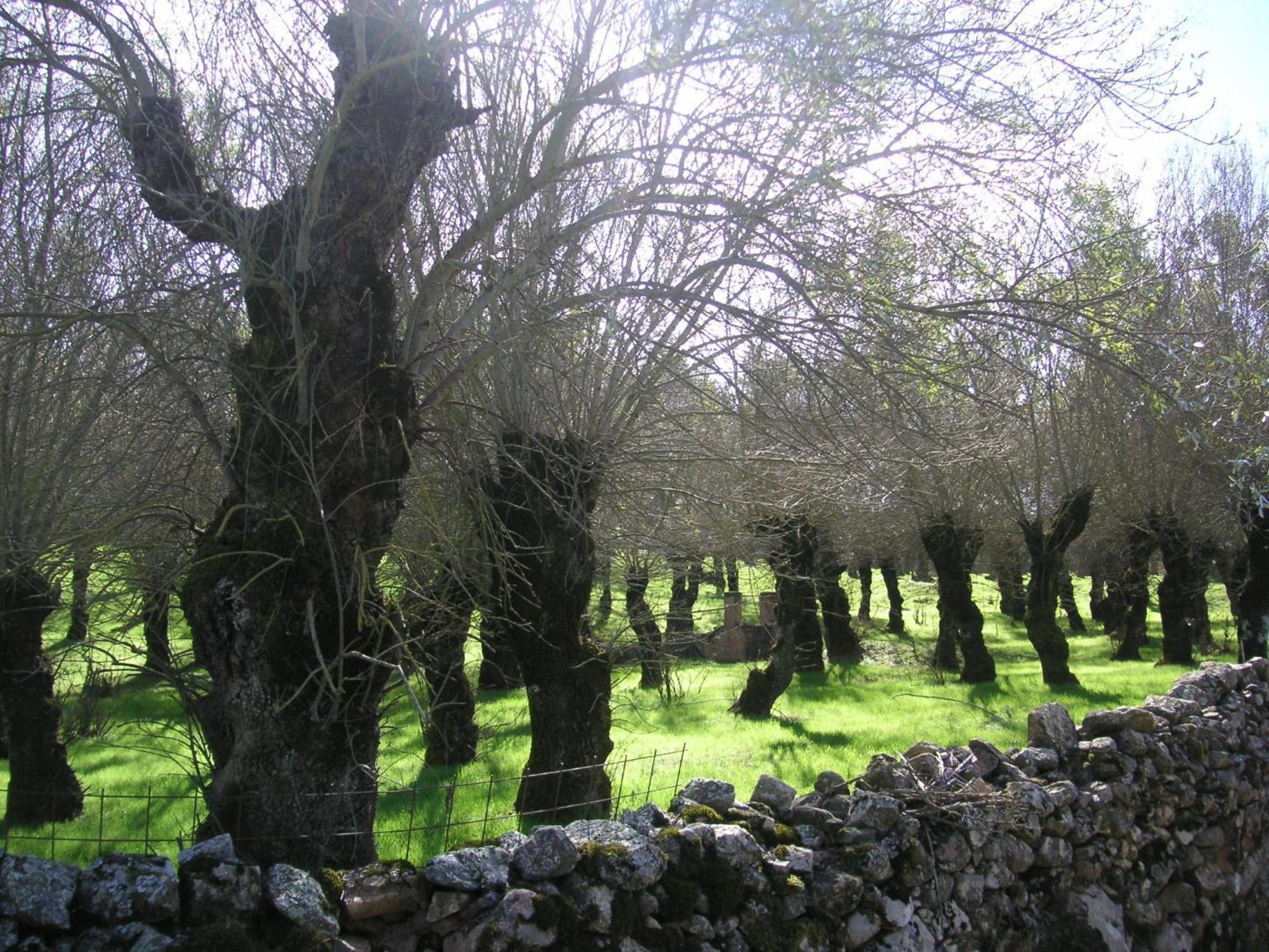 Casa rural Sierras Y Valles