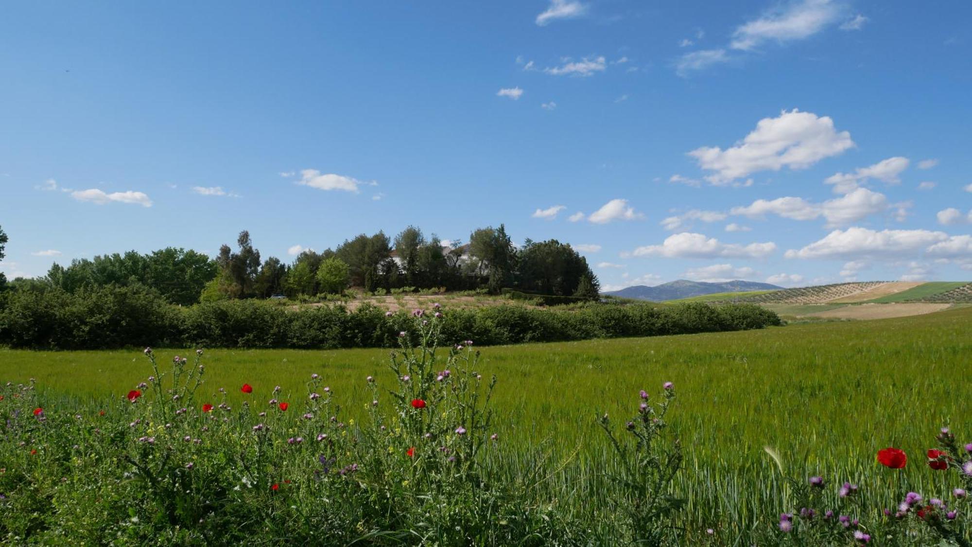 La Gineta Casa rural *