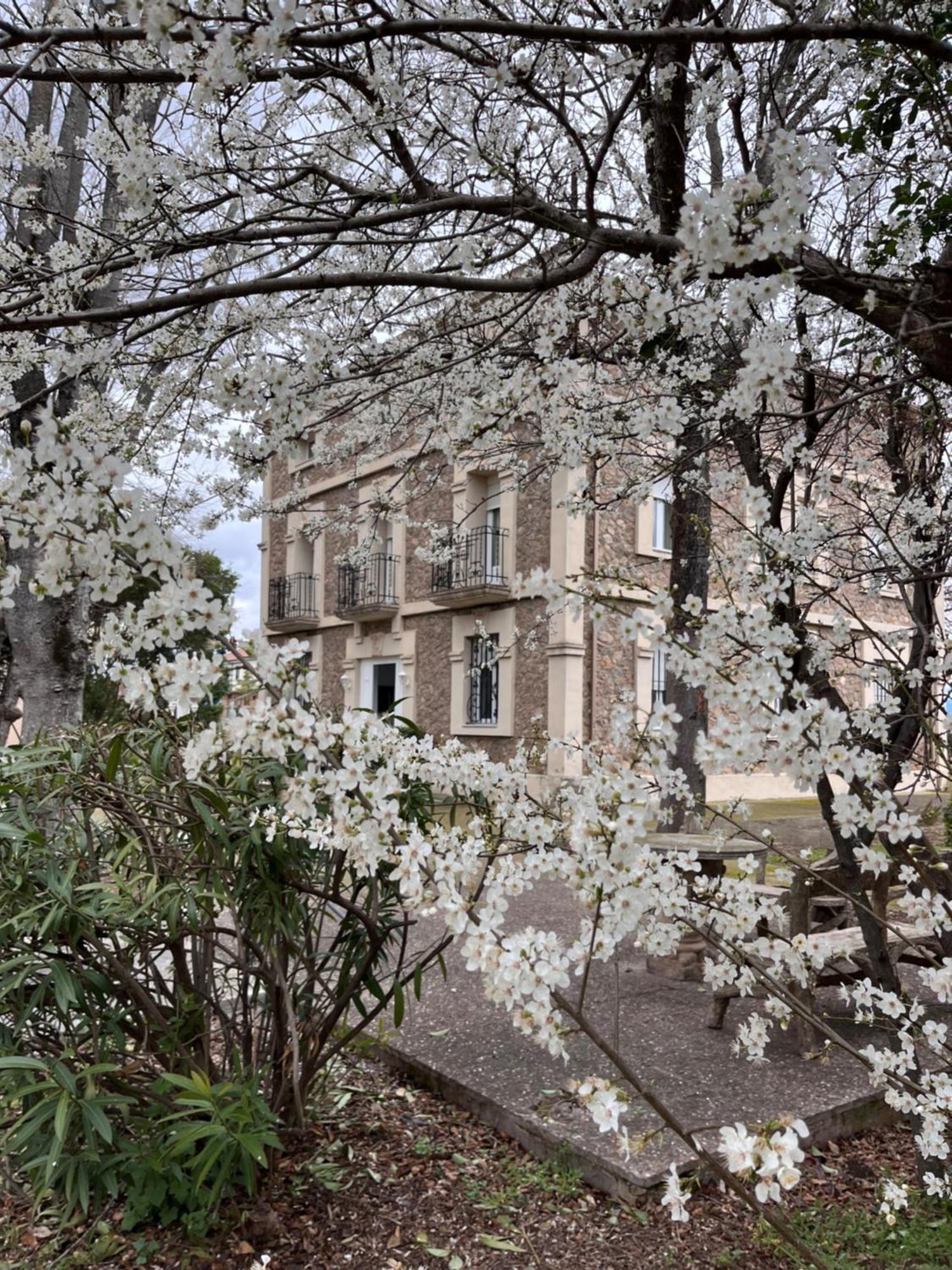 Merenciana Country house Agoncillo