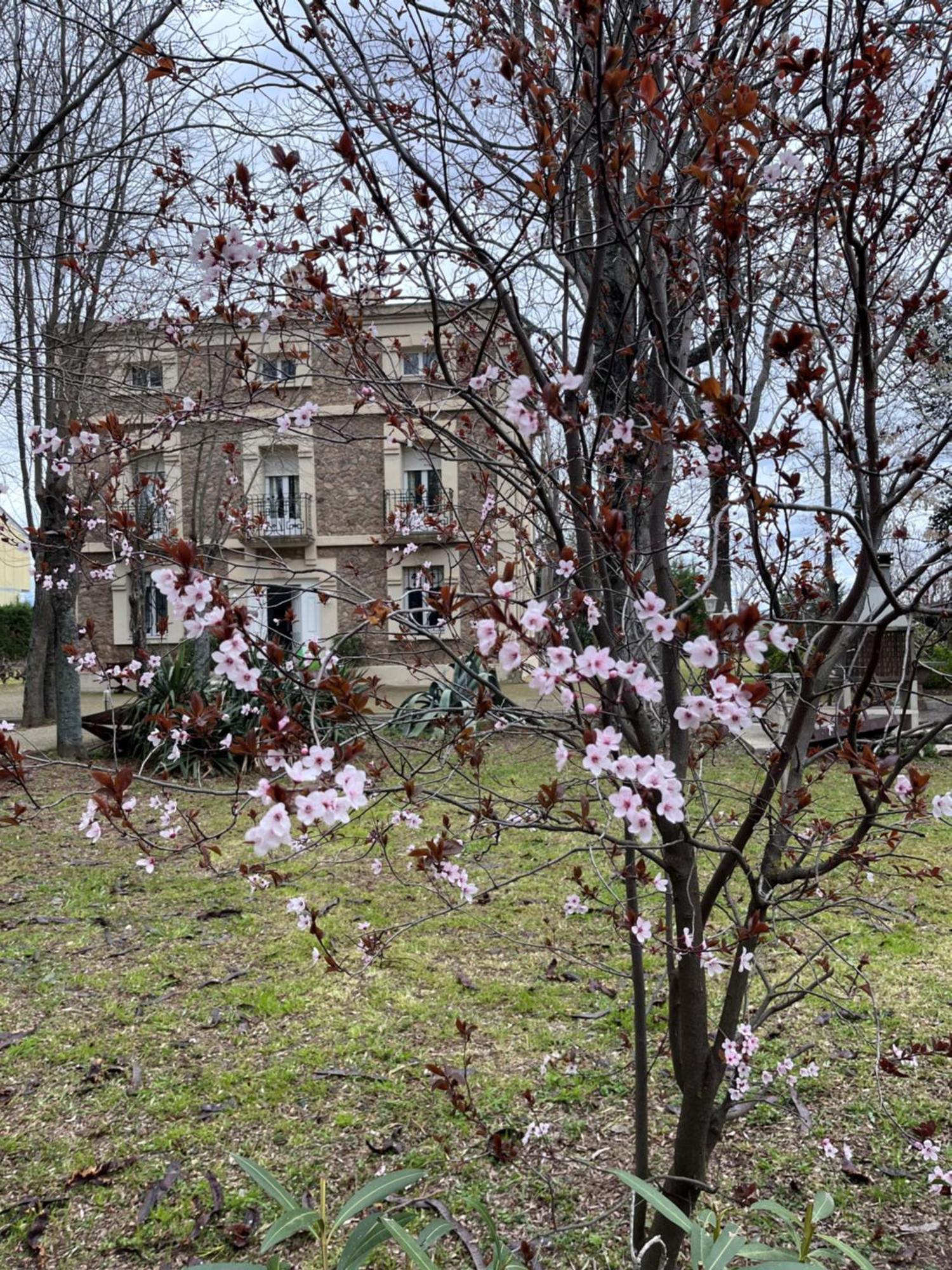 Country house Merenciana
