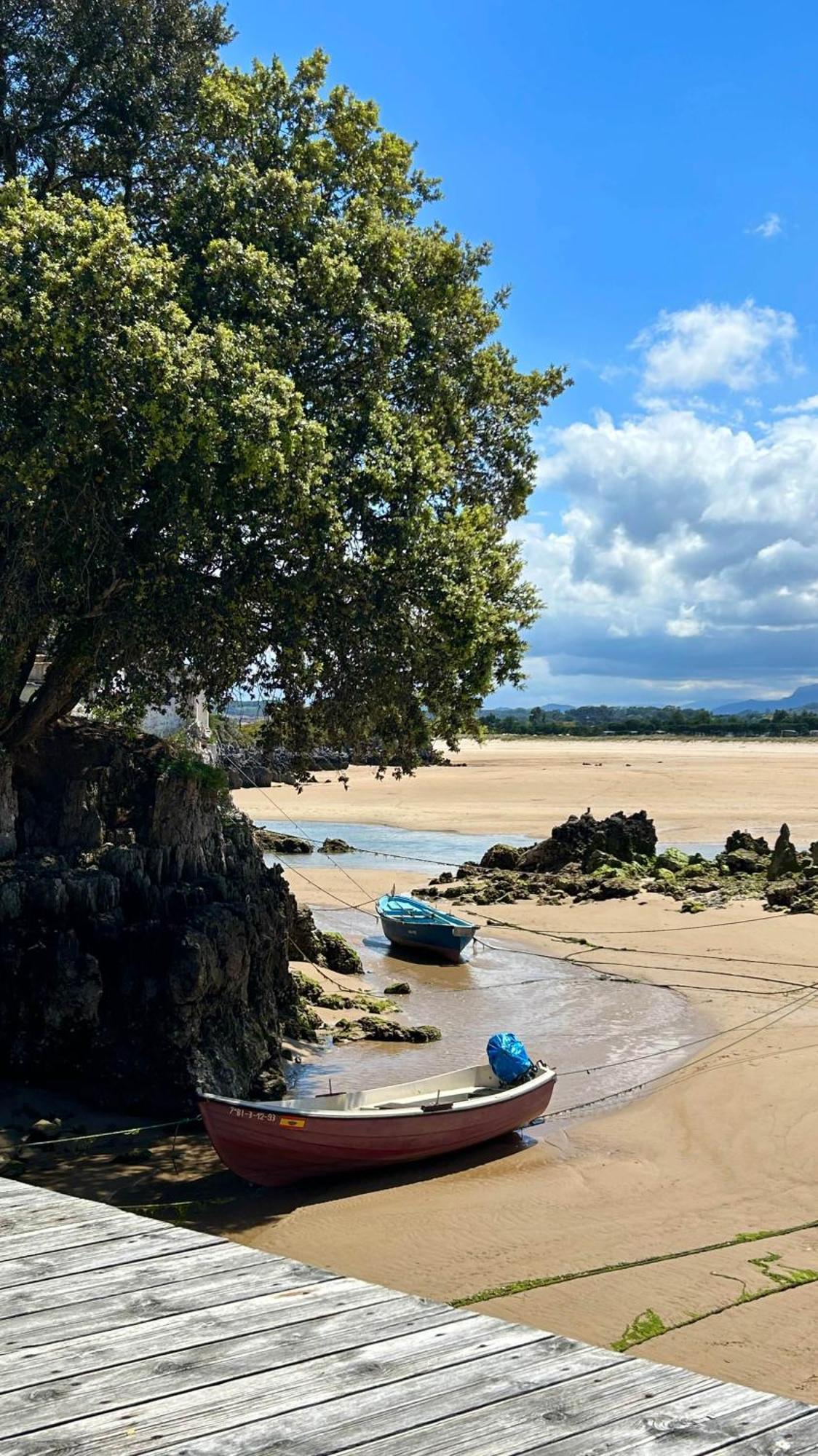 De La Hoz Isla Plana