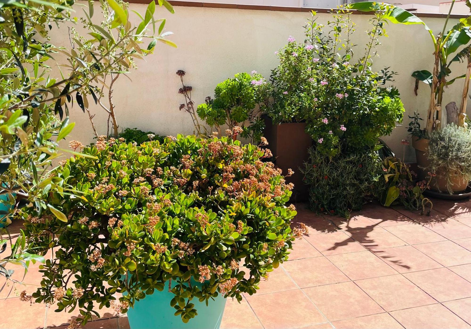 Apartamento Figueres Center Figueras