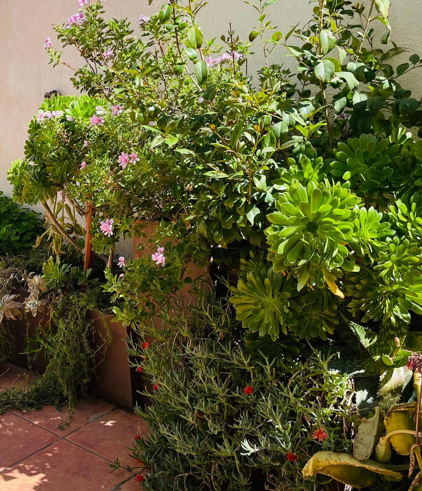 Figueres Center Figueras