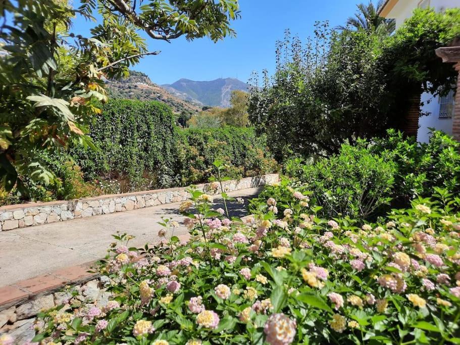 Puerto De La Luz Mijas