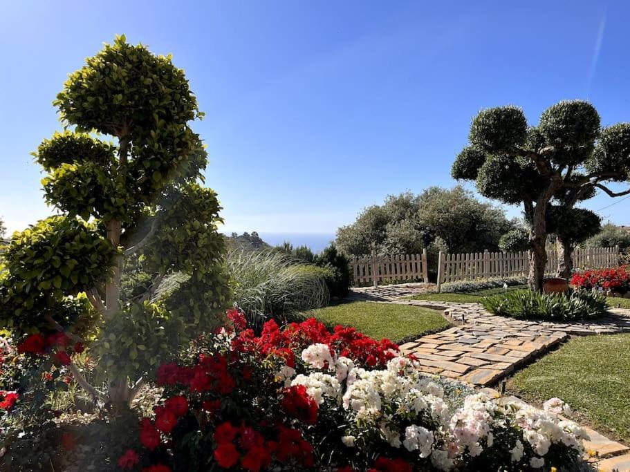 Villa Puerto De La Luz *