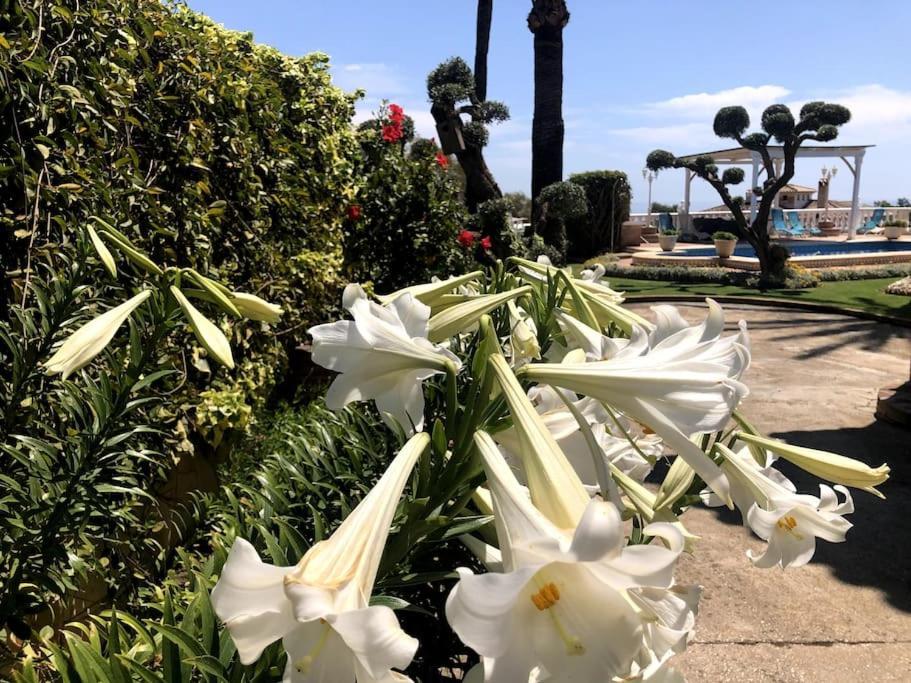 Puerto De La Luz Villa Mijas