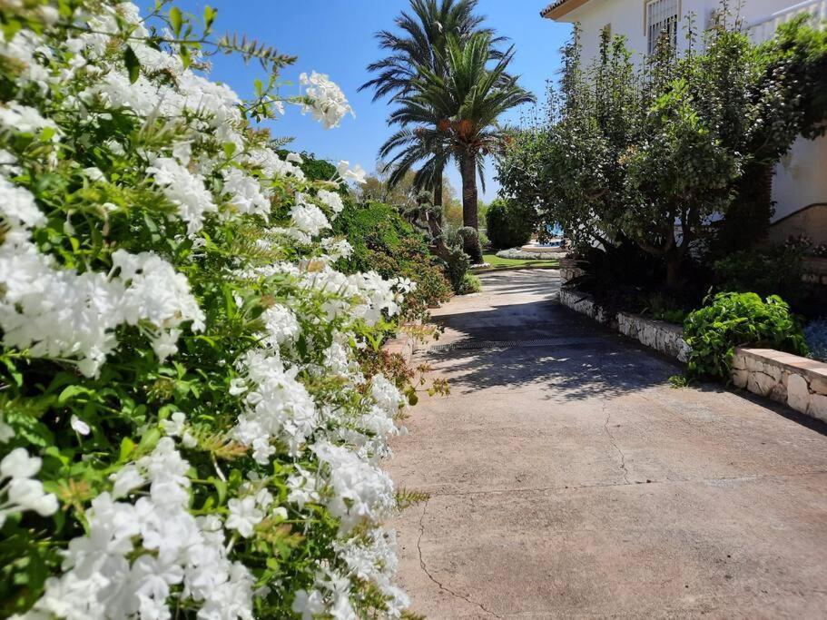 Puerto De La Luz * Mijas