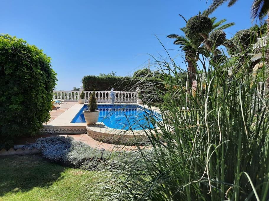 Puerto De La Luz Mijas