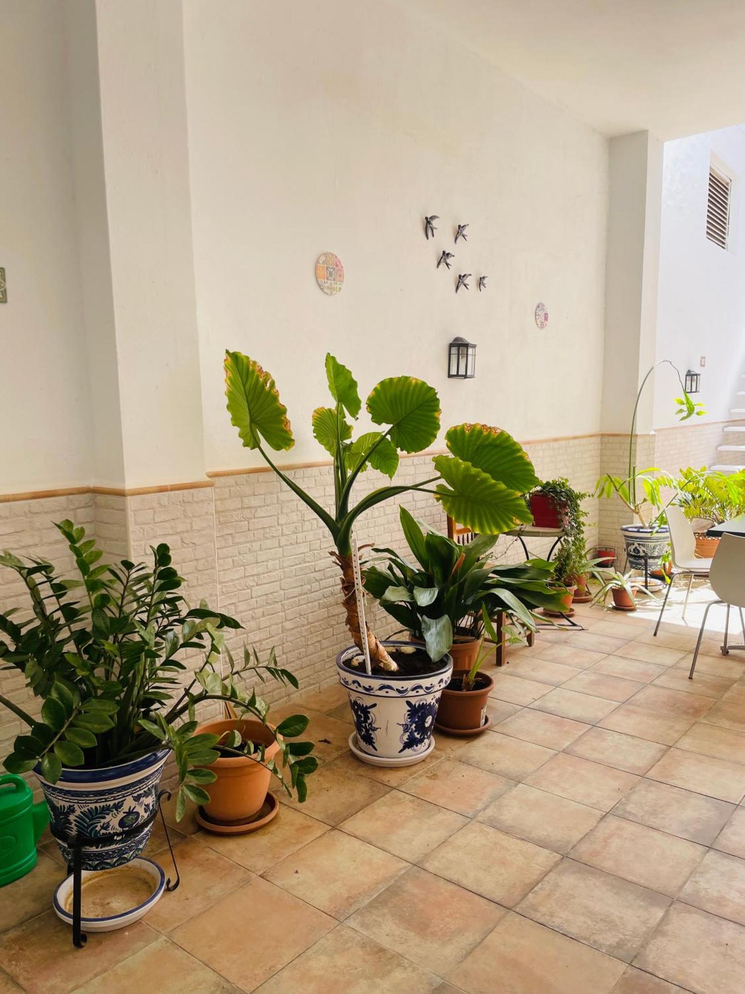 Patio De Barberos