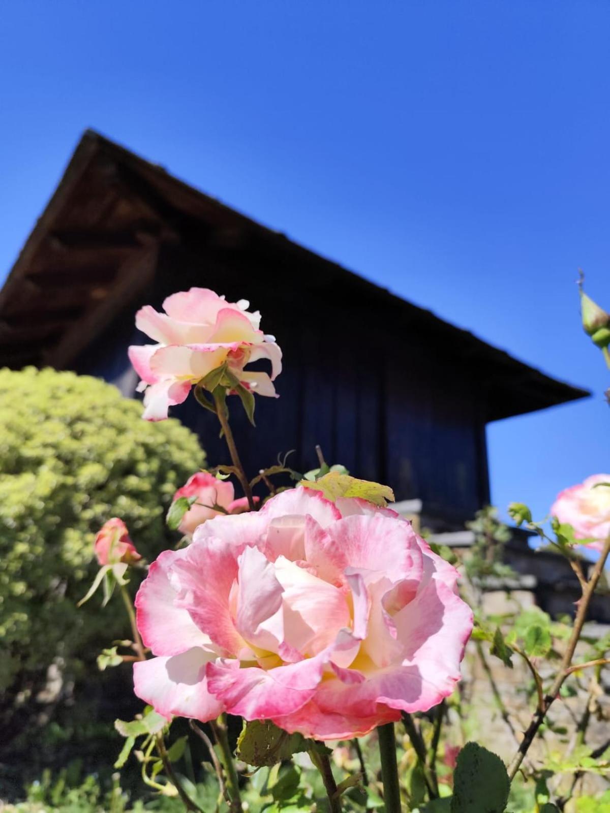 Holiday home Pajar Brana