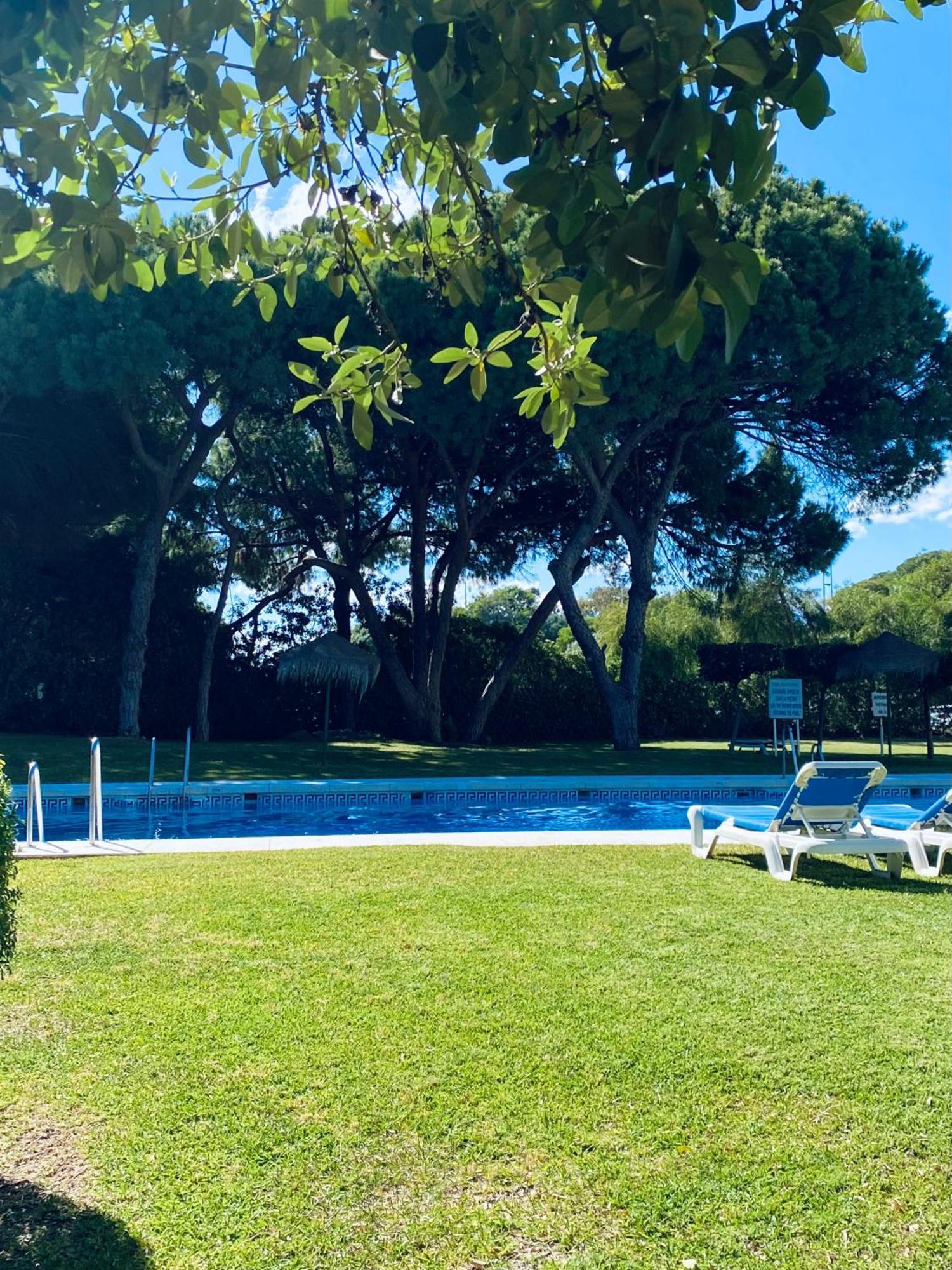 Apartamento Luminoso En Cabopino