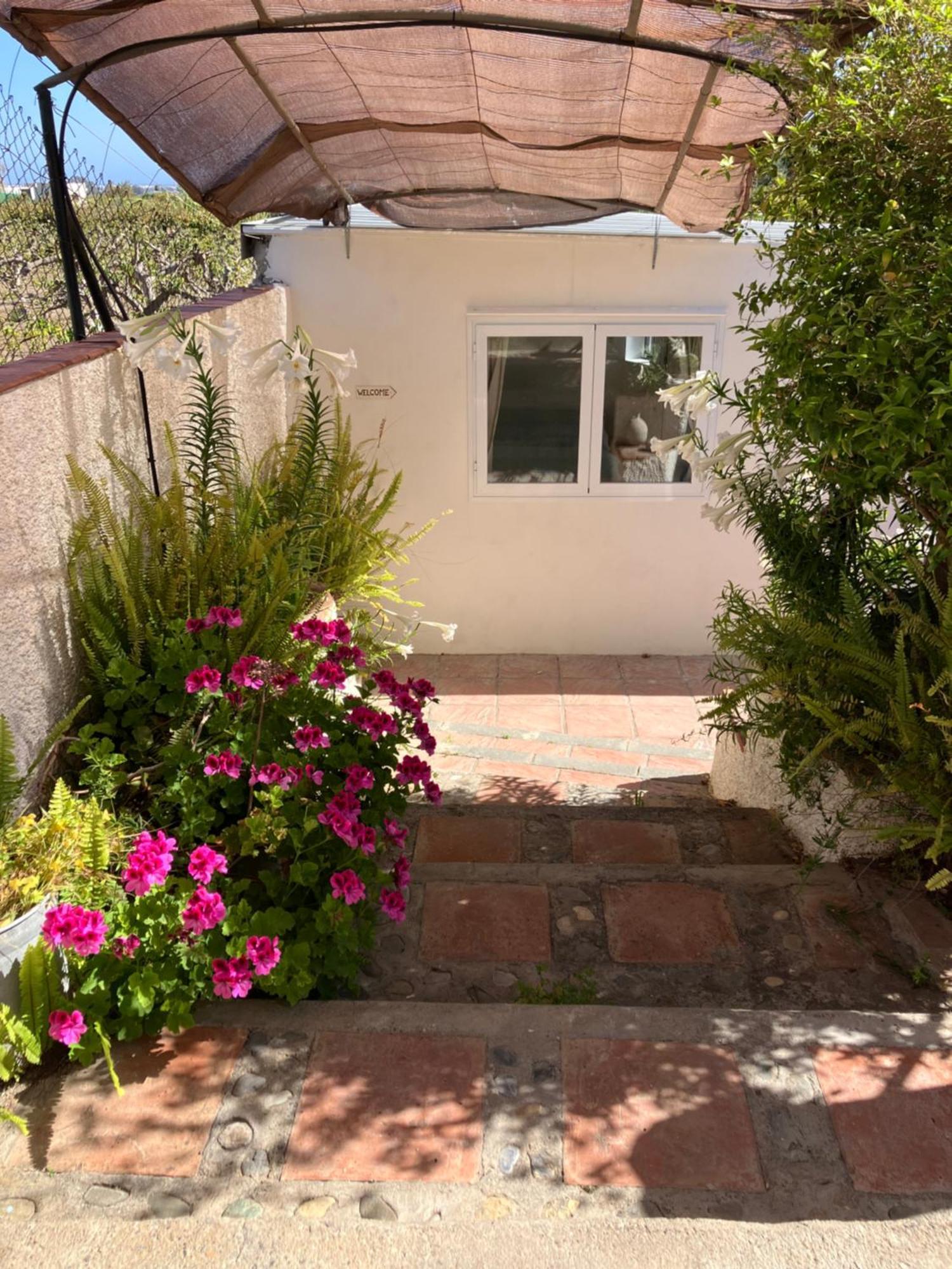 La Penita - Sunny With Private Pool And Garden Apartment Salobrena
