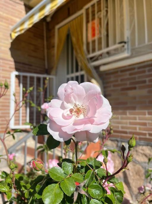 Casa Con Jardin En Escalona Holiday home