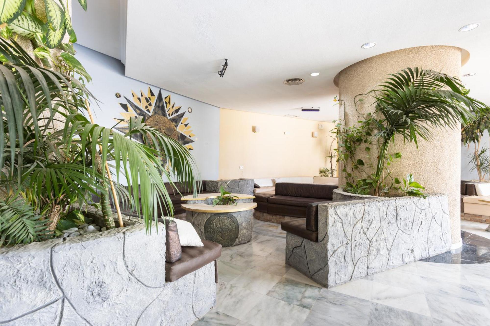 Apartment Estudio Alma *