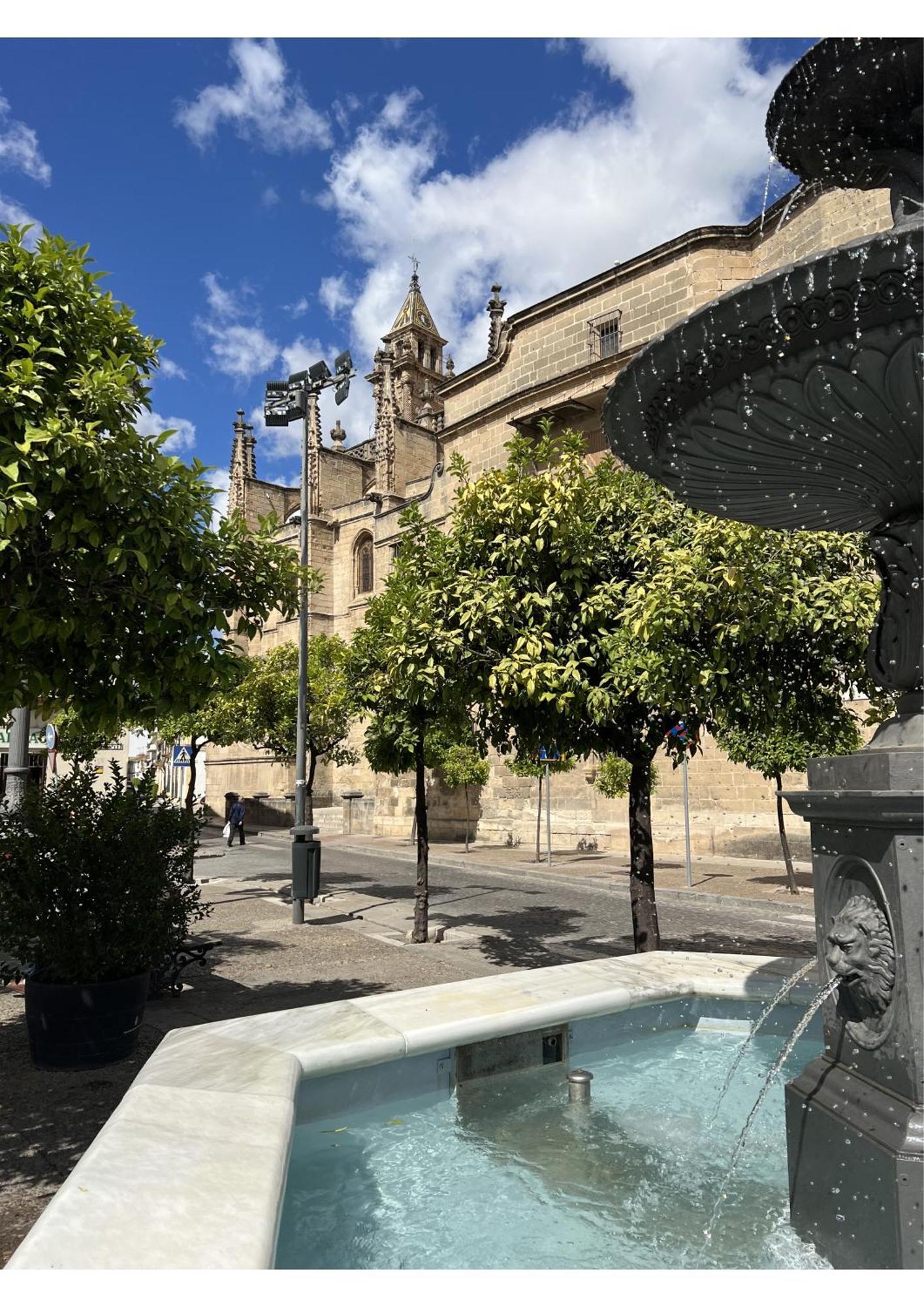 Sherry-house & Parking Apartment Jerez de la Frontera