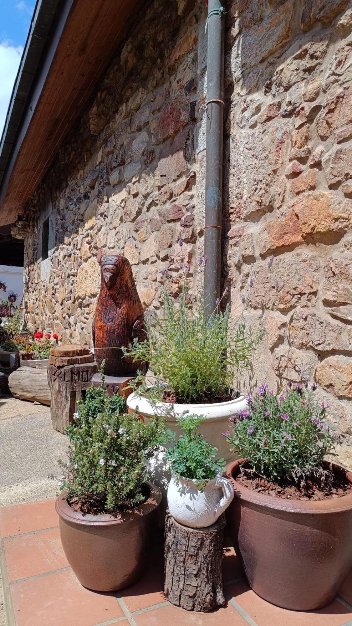 Casa Selmo Bed & Breakfast Carreno