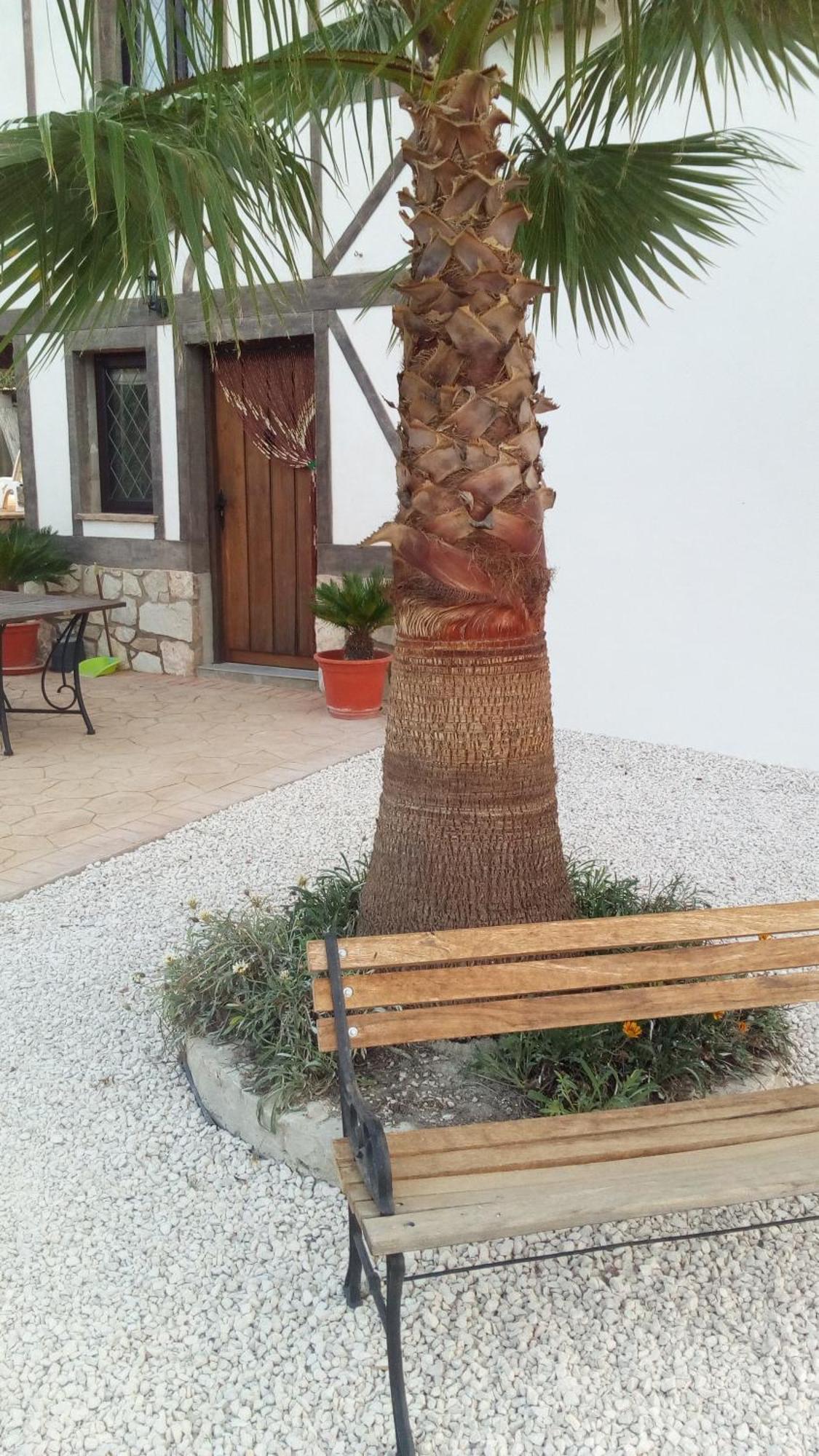 Marrojas, Secluded Tudor Country Apartamento Algarinejo